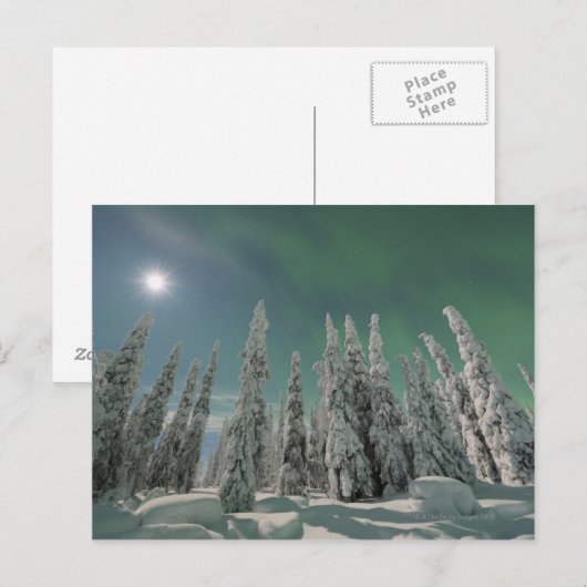 Aurora Borealis Postkarte (Vorne/Hinten)