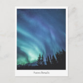 Aurora Borealis Postkarte (Vorderseite)
