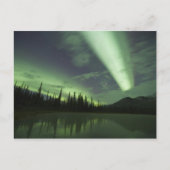 Aurora borealis spiegeln sich im Tundra-Teich wide Postkarte (Vorderseite)