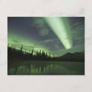Aurora borealis spiegelt sich in Tundrateich Postkarte