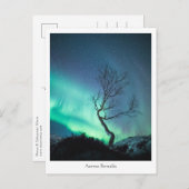 Aurora Borealis Tree Postkarte (Vorne/Hinten)