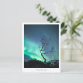 Aurora Borealis Tree Postkarte (Stehend Vorderseite)