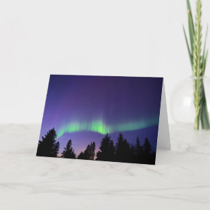 Aurora Borealis & Trees   Manitoba, Canada Karte