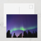 Aurora Borealis & Trees | Manitoba, Kanada Postkarte (Vorne/Hinten)