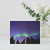 Aurora Borealis & Trees | Manitoba, Kanada Postkarte (Stehend Vorderseite)