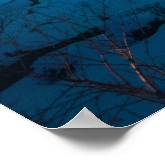 Aurora borealis über der Meeresküste, schneebedeck Poster (Ecke)