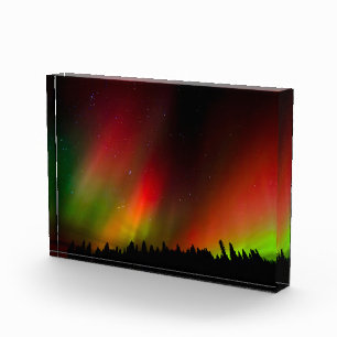 Aurora Borealis und Bäume Fotoblock