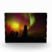 Aurora Borealis und Bäume Fotoblock (Vorderseite)