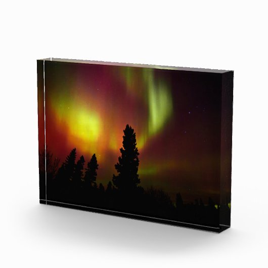 Aurora Borealis und Bäume Fotoblock (Rechts)