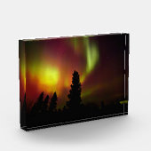 Aurora Borealis und Bäume Fotoblock (Links)