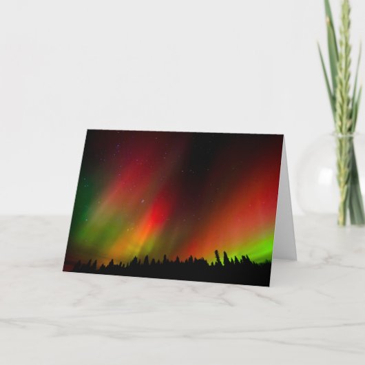 Aurora Borealis und Bäume Karte (Vorderseite)