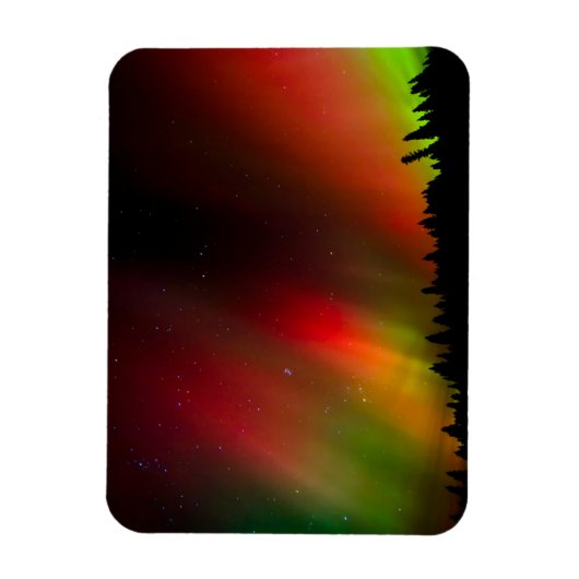 Aurora Borealis und Bäume Magnet (Vertikal)