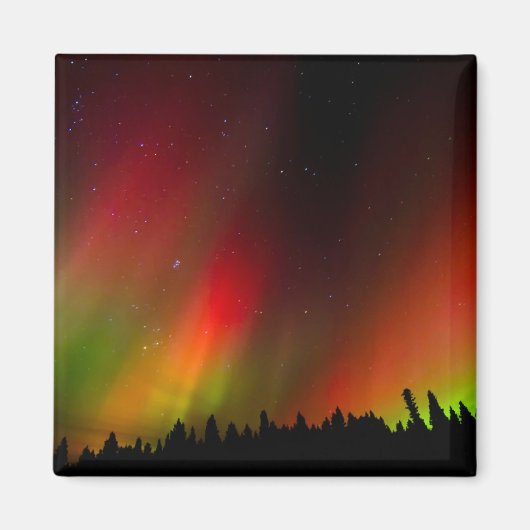 Aurora Borealis und Bäume Magnet (Vorne)