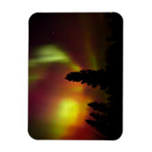 Aurora Borealis und Bäume Magnet (Vertikal)