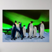 Aurora borealis und Pinguine Poster (Vorne)