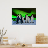 Aurora borealis und Pinguine Poster (Küche)