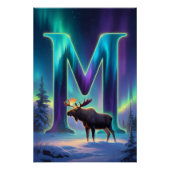 Aurora Brief M Poster | Kunst der Nordlichter (Vorderseite)