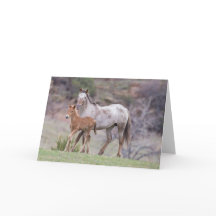 Aurora & Filly Galloping to Freedom Greeting Card