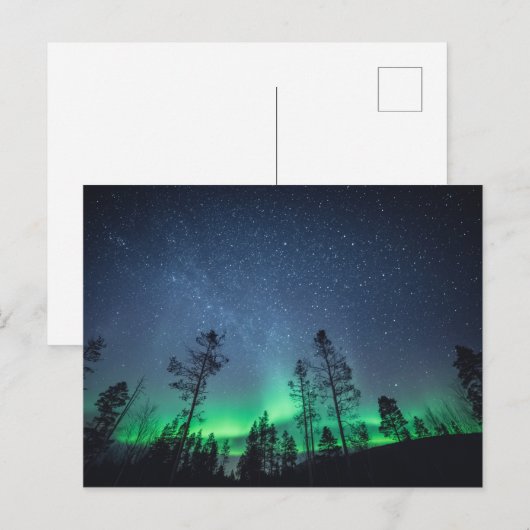 Aurora Forest Postkarte (Vorne/Hinten)