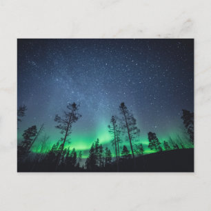 Aurora Forest Postkarte