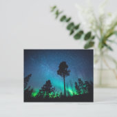 Aurora Forest Postkarte (Stehend Vorderseite)