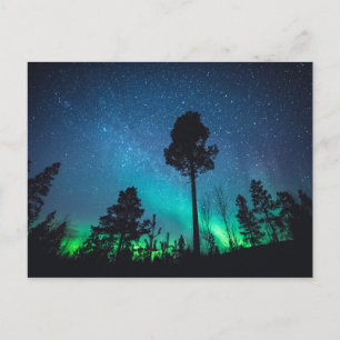 Aurora Forest Postkarte