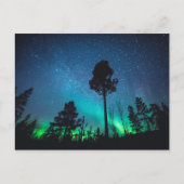 Aurora Forest Postkarte (Vorderseite)