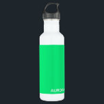 Aurora green color name edelstahlflasche<br><div class="desc">Aurora green color name</div>