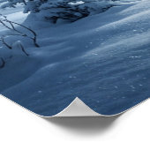 Aurora-Hirsch Nordlichter Poster (Ecke)