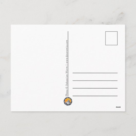 Aurora Landscape Feiertagspostkarte (Rückseite)