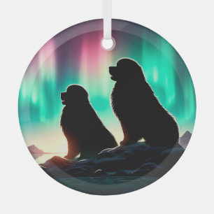 Aurora Newfundlands Circle Ornament Aus Glas