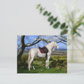 "Aurora On Fox Hill" Postkarte (Stehend Vorderseite)