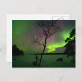 Aurora Postkarte (Vorne/Hinten)
