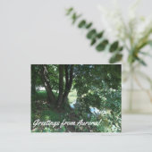 Aurora Postkarte (Stehend Vorderseite)