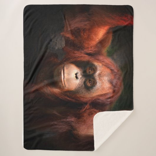 Aurora Sherpadecke (Vorderseite)