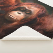 Aurora Sherpadecke (3/4)