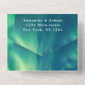 Aurora Starry Night Stars Hochzeitsfeier All In One Einladung (Rückseite)