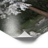 Aurora über dem Outhouse Fotodruck (Ecke)