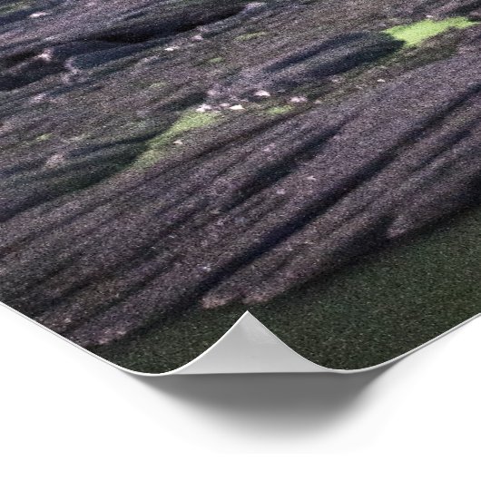 Aurora über einer Gletscherlagune Poster (Ecke)