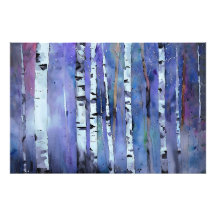 Aurora unter der Birke