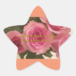 Aurozarian Heal " Stern-Aufkleber