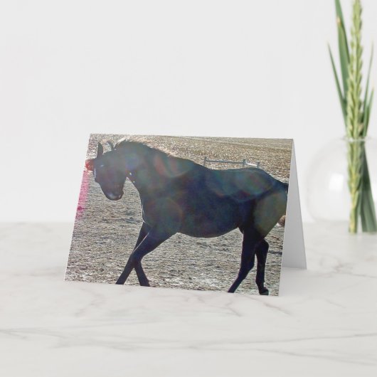 Aus anzeigen karte (Vorderseite)