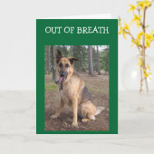 AUS BROT = 40. GEBURTSTAG SPASS KARTE (Gelbe Blume)