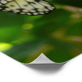 Aus Cocoons-Poster Poster (Ecke)