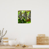 Aus Cocoons-Poster Poster (Küche)