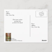 Aus dem Altar Denken Sie an die Postkarte (Rückseite)