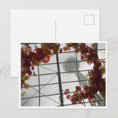 Aus dem Gartenraum Postkarte (Vorne/Hinten)
