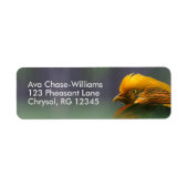 Aus dem Grünen heraus: Goldener Fasan (Vorne)