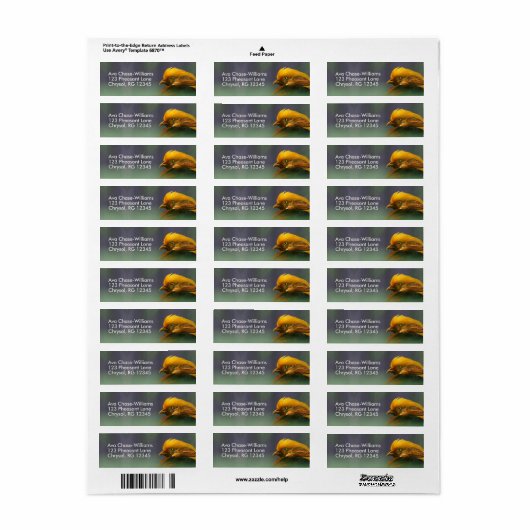 Aus dem Grünen heraus: Goldener Fasan (Vorne)