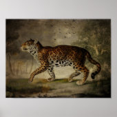 Aus dem Rose Tree geborgen Poster (Vorne)